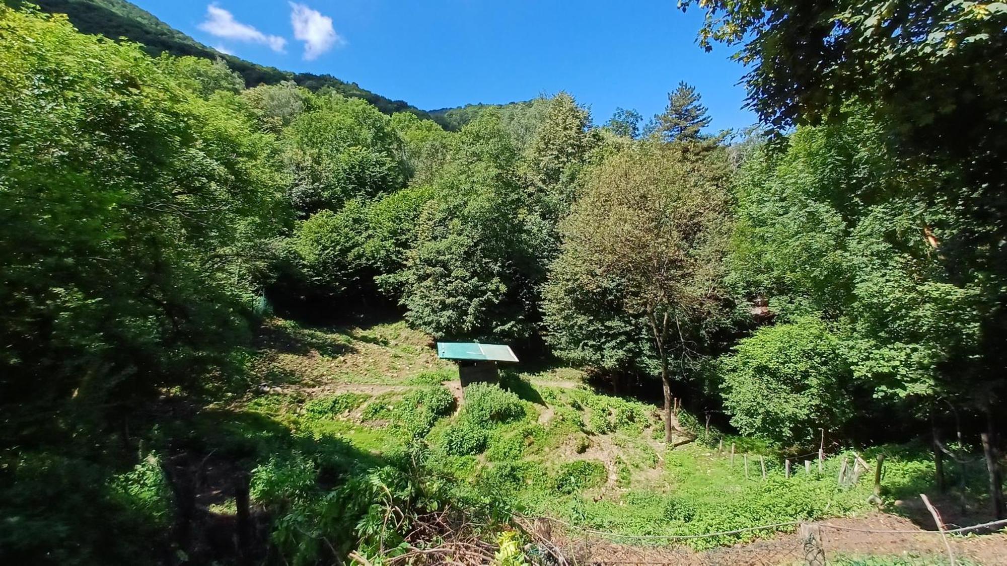 La Stanza Del Bosco Leilighet Arcumeggia Eksteriør bilde